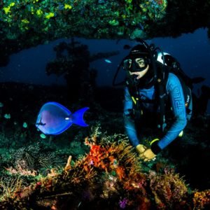 PADI Wreck Diver certification Mexico