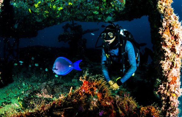 PADI Wreck Diver certification Mexico