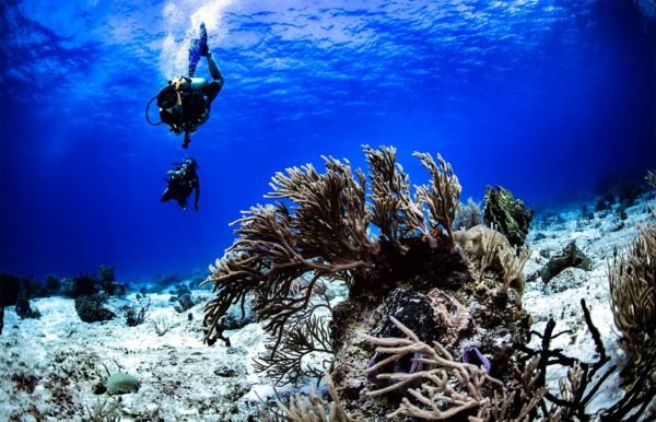 PADI uw Photographer certification Mexico