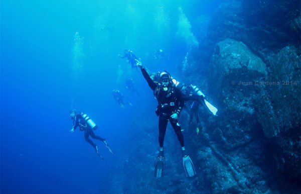 PADI DRIFT DIVER COURSE