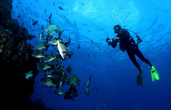 PADI DRIFT DIVER COURSE