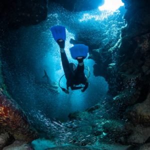 PADI uw Photographer certification Mexico