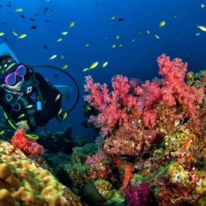 PADI ADVENTURE DIVER CERTIFICATION