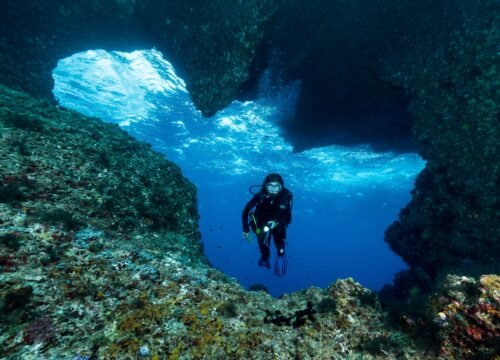 PADI Open Water Diver