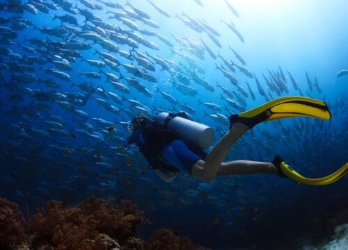 PADI Navigation