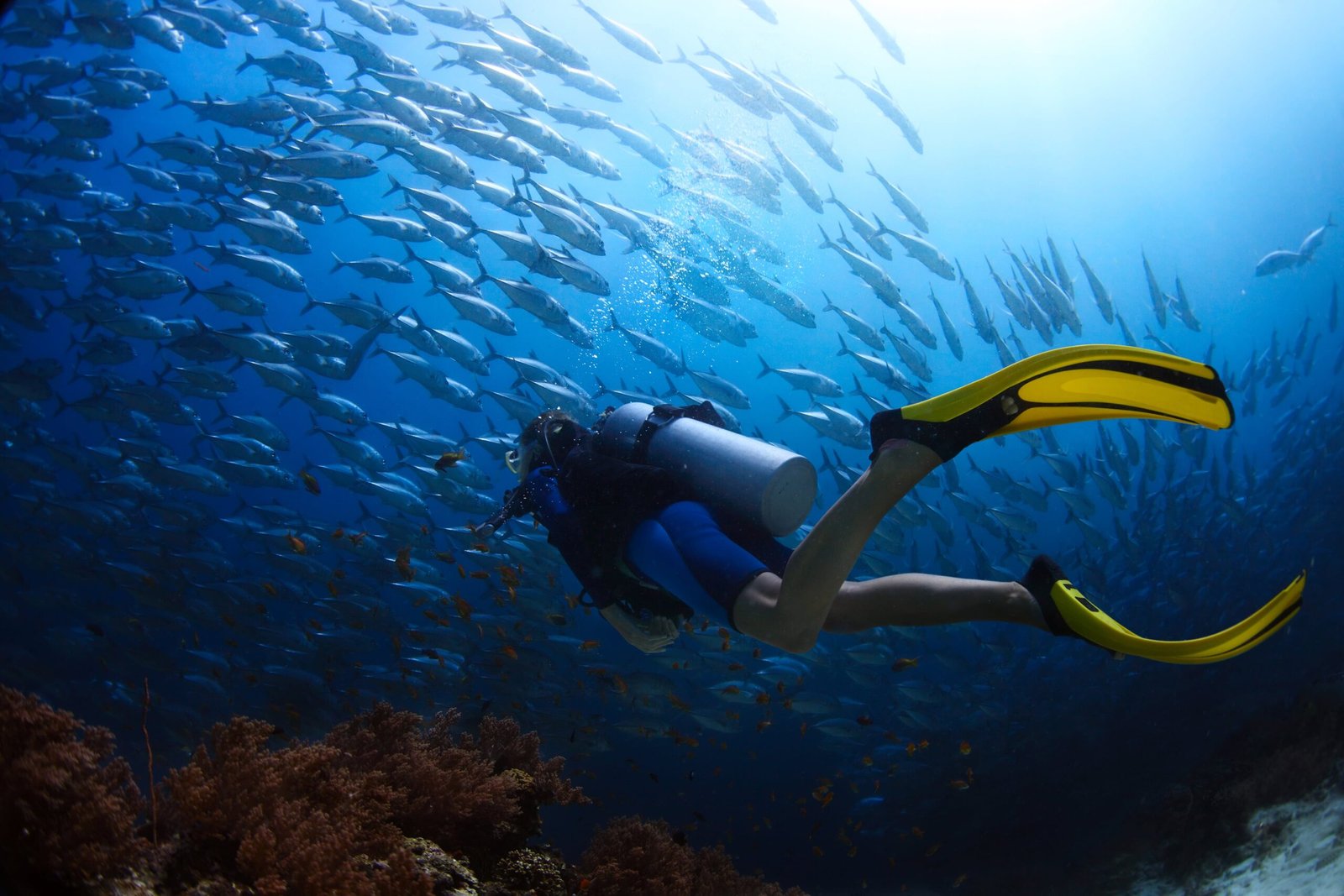 PADI Navigation