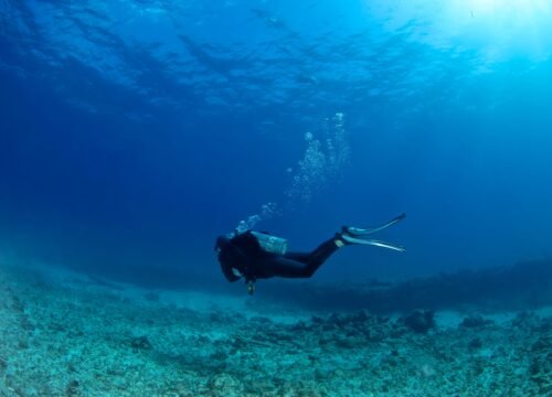 PADI Scuba Diver