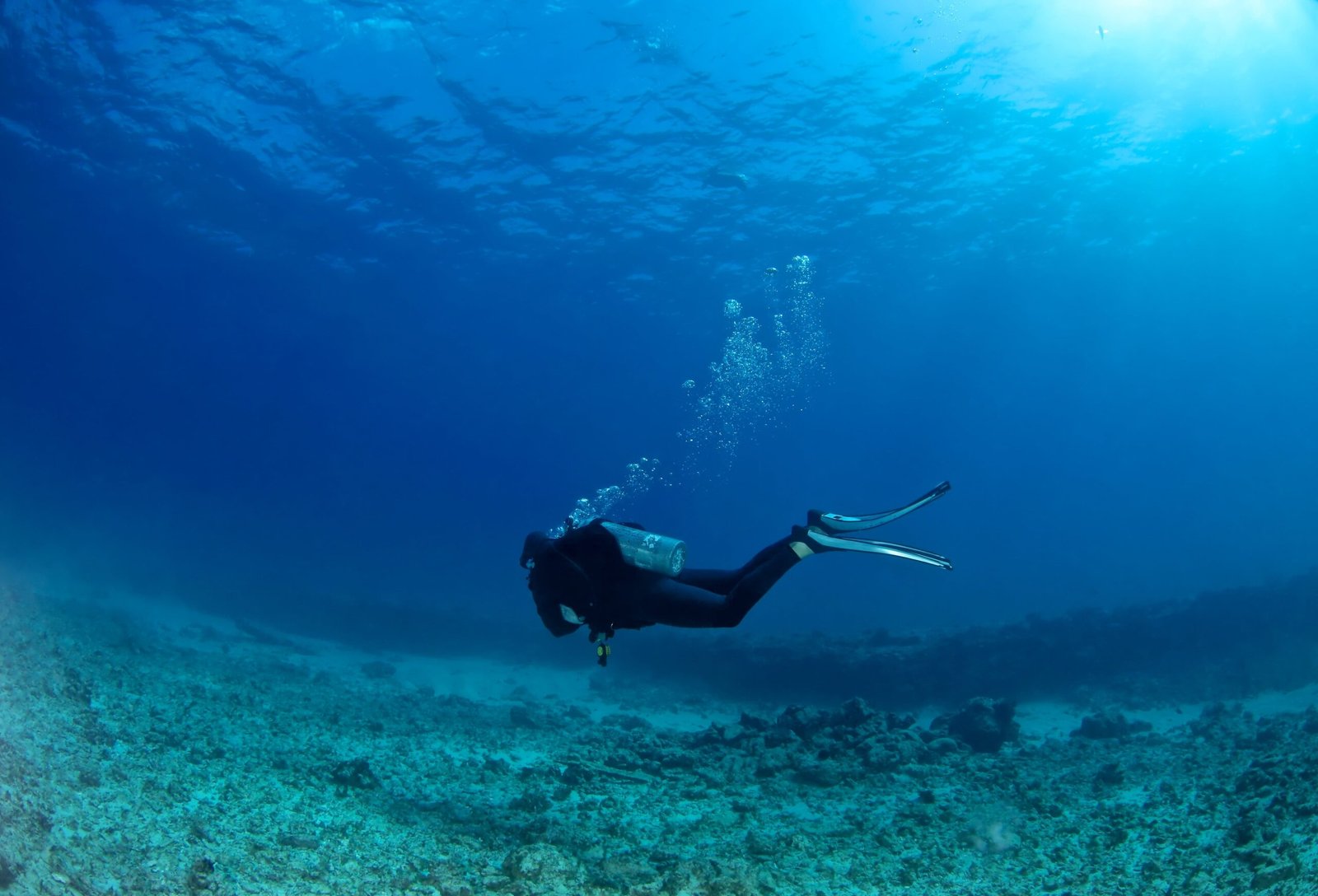 PADI Scuba Diver