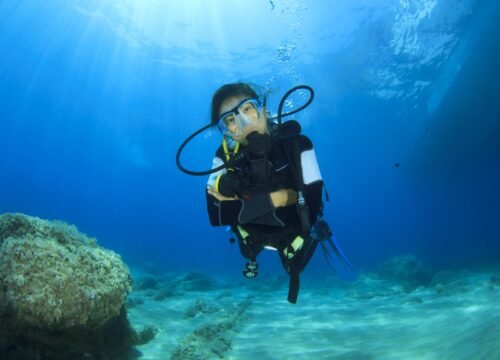 PADI Adventures in diving