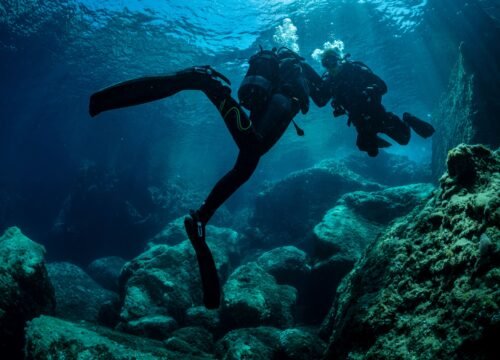 PADI IDC Staff Instructor