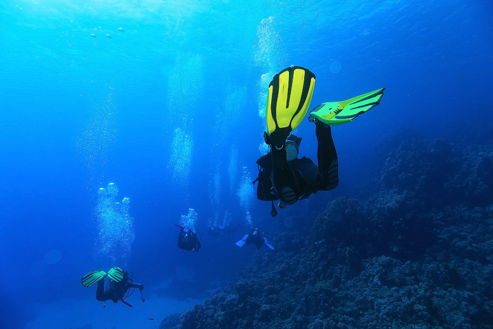 Cozumel diving trip from cancun